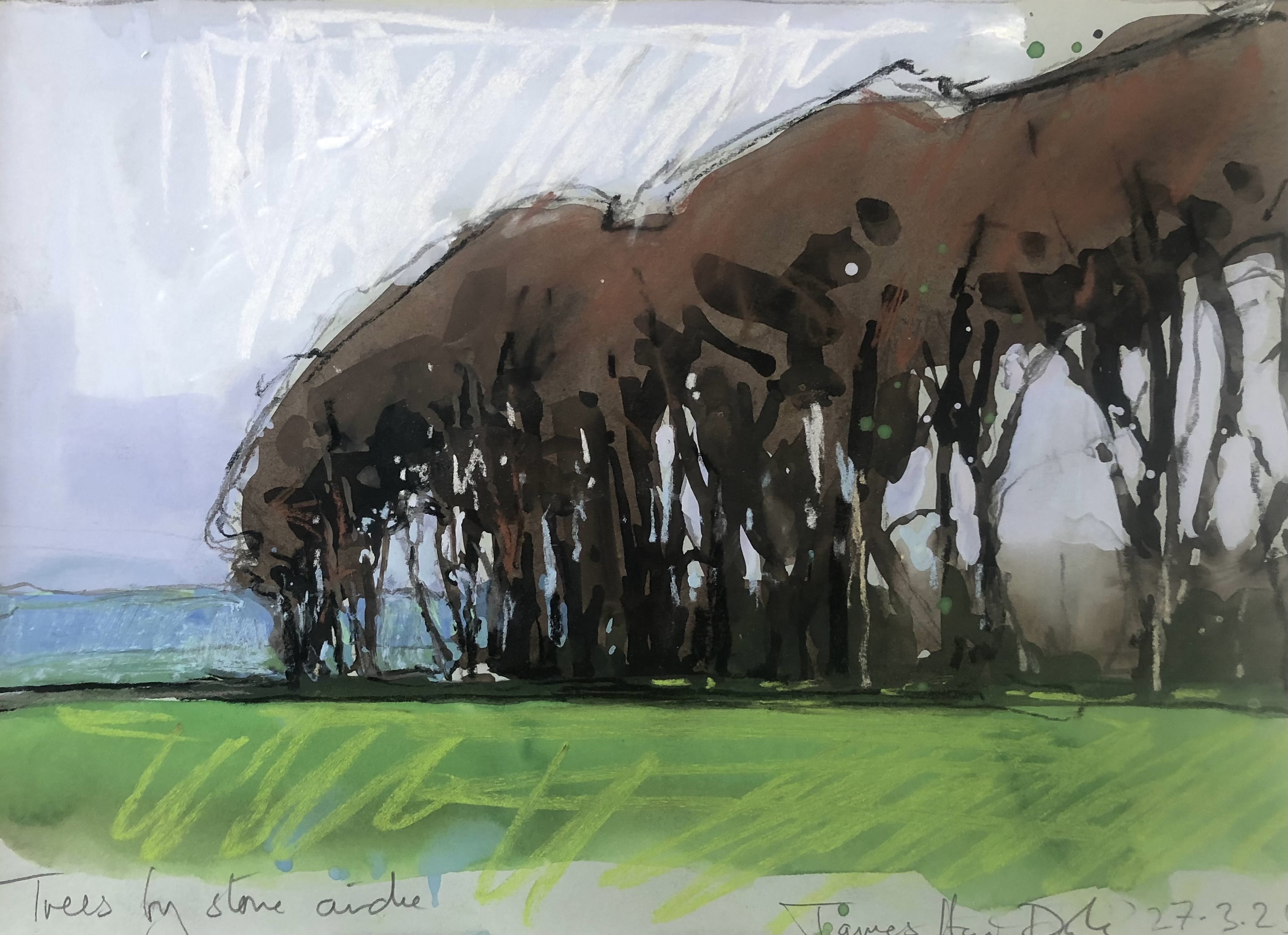 Secret wood, Dorset 2024